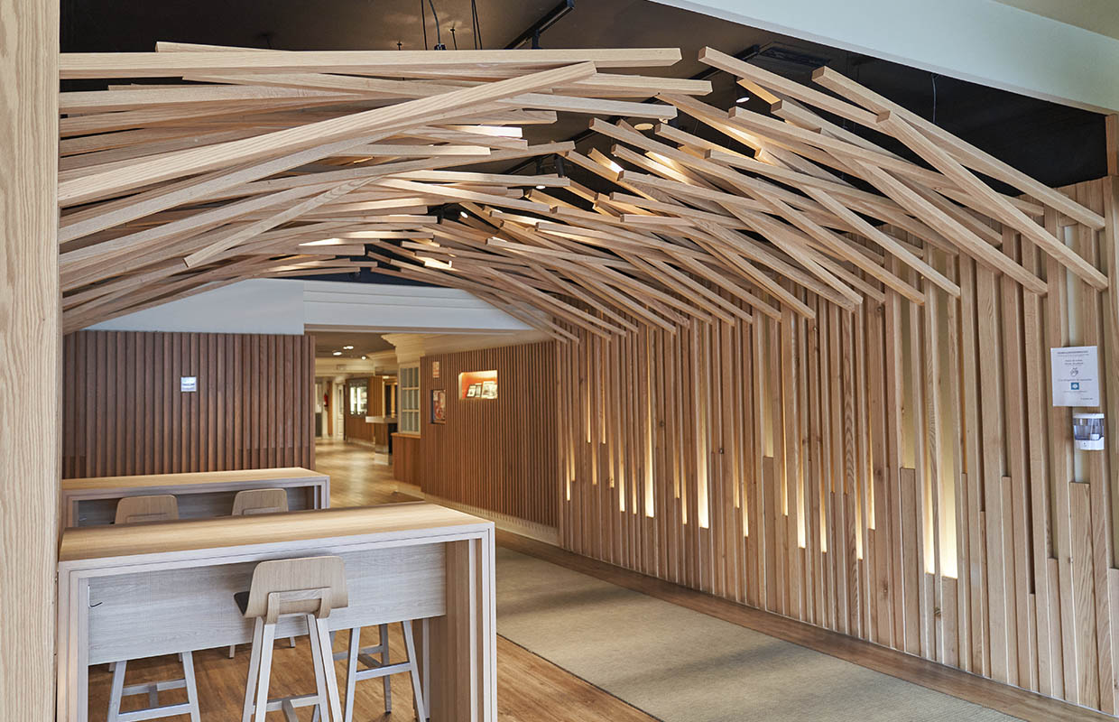 Carpintería en Cantabria: decoración madera en techos