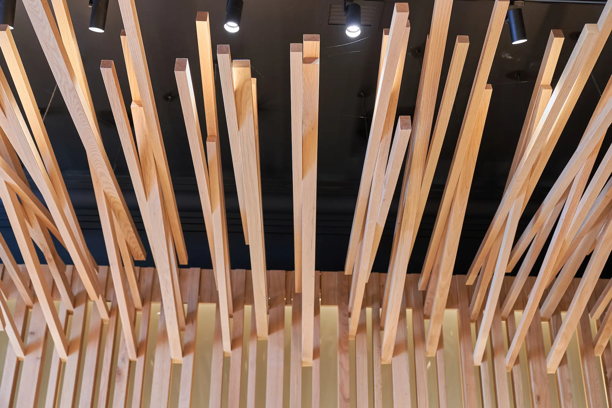 Carpinteros Cantabria