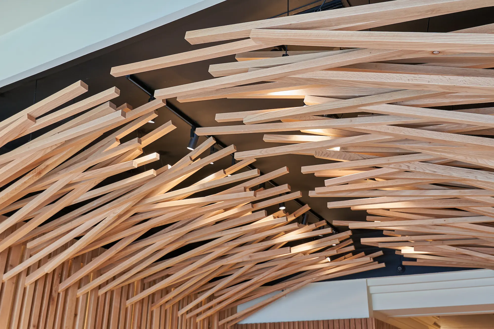 Carpinteros Cantabria