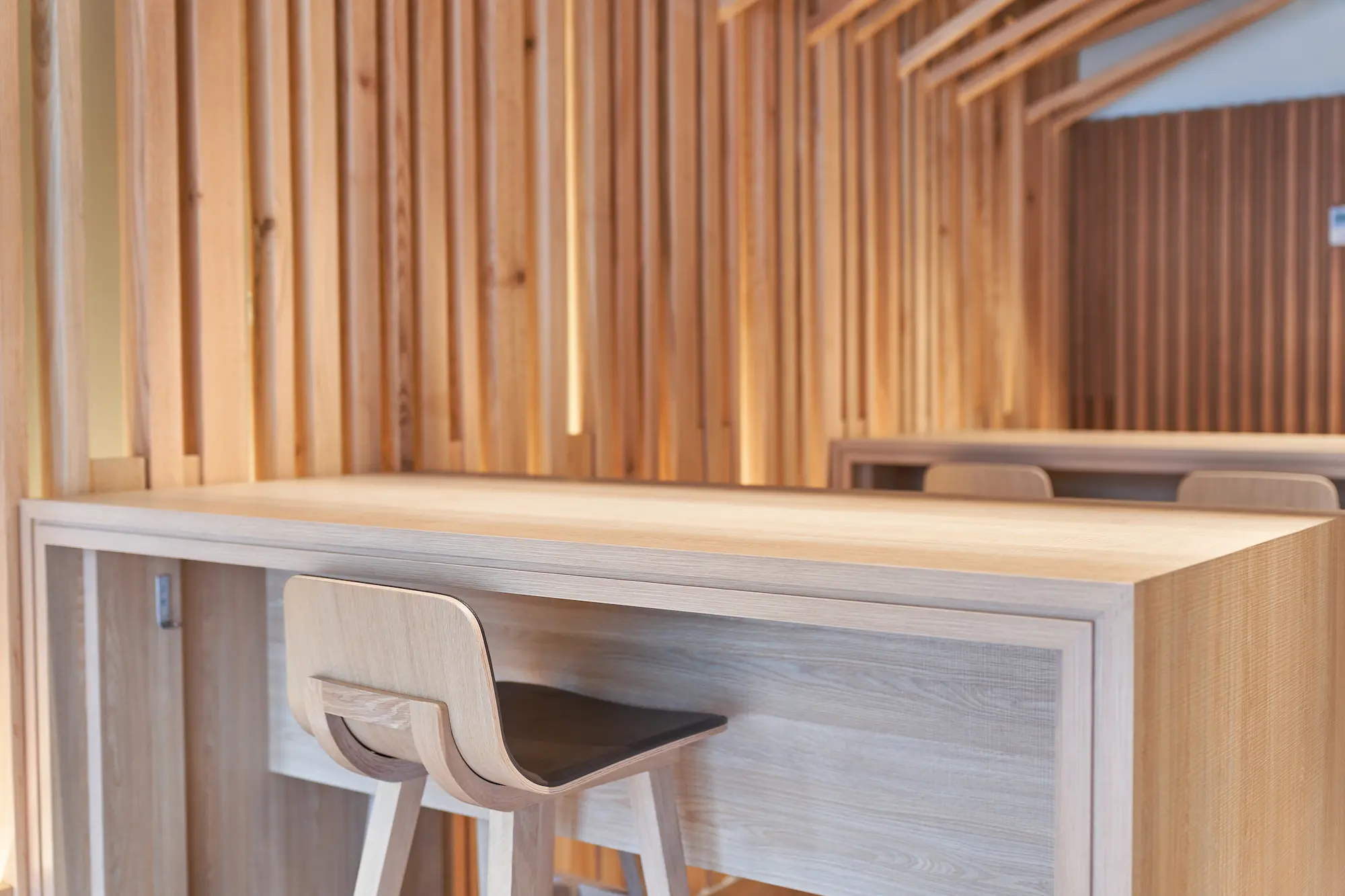 Carpinteros Cantabria