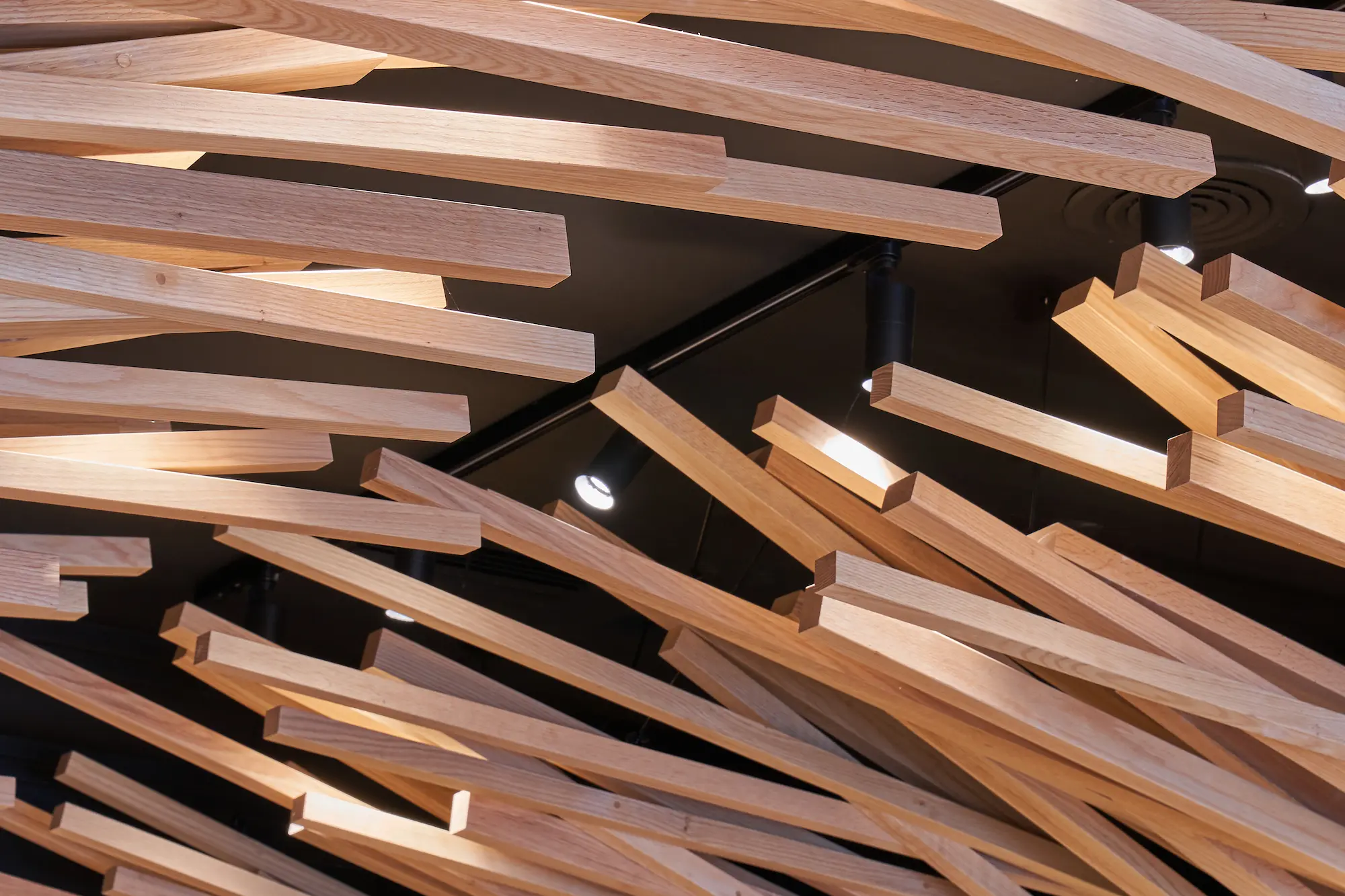 Carpinteros Cantabria