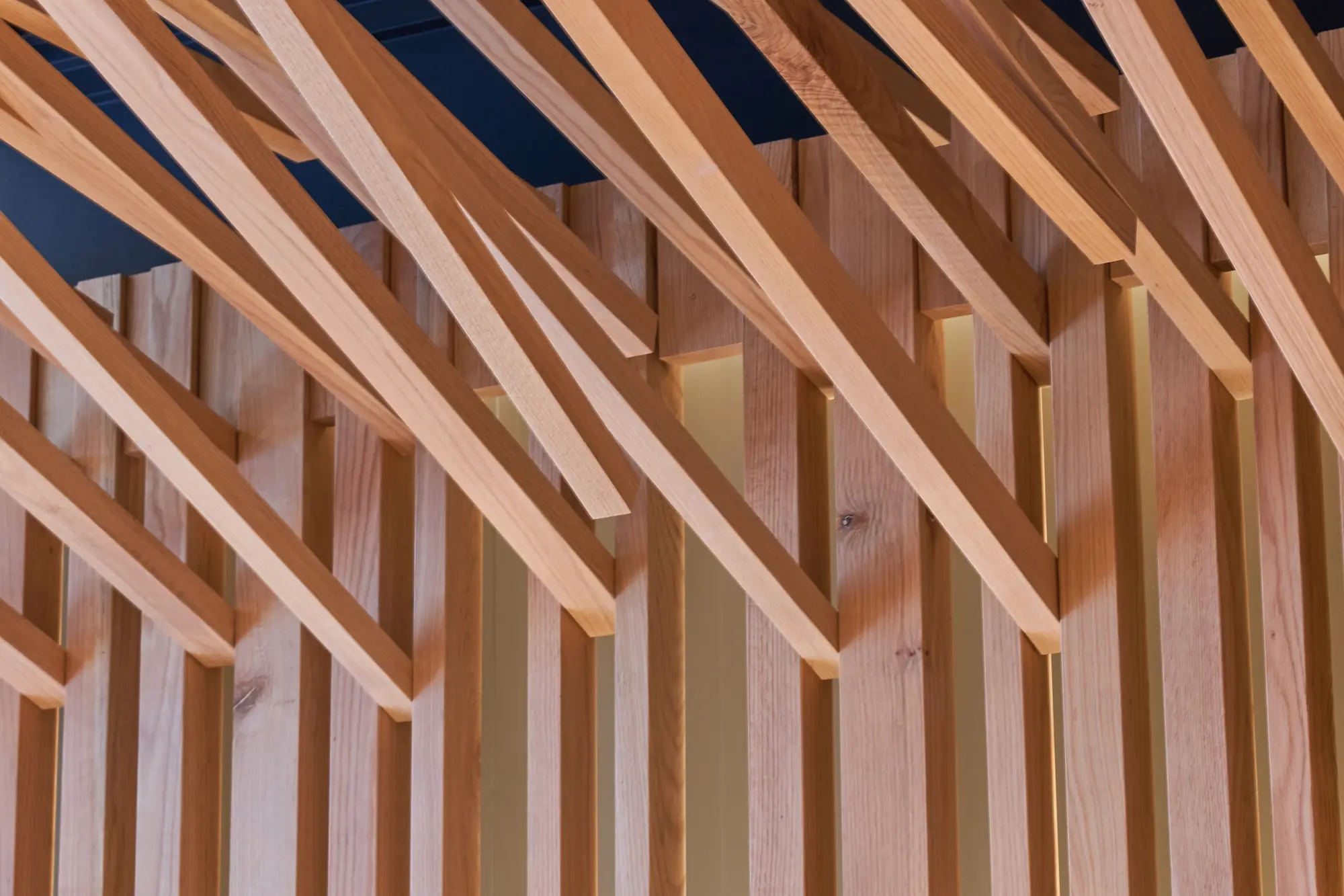 Carpinteros Cantabria